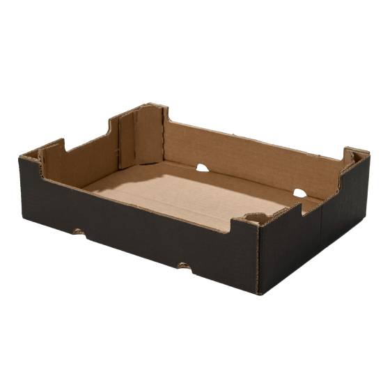 Caja tipo 2