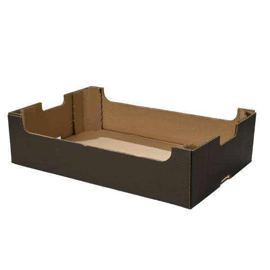 Caja tipo 4